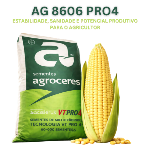 Milho Híbrido Agroceres 8606 VT PRO4 – Versatilidade e Rusticidade 2 Milho Híbrido Agroceres 8606 VT PRO4 – Versatilidade e Rusticidade - Imagem 2