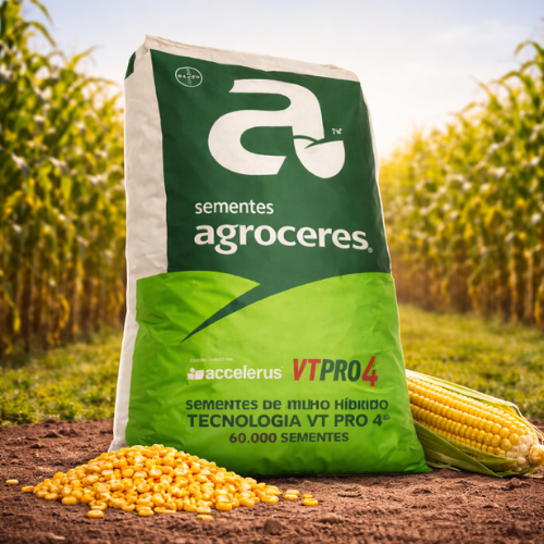 Milho Híbrido Agroceres 8701 VT PRO4 – Sanidade e Qualidade de Grão 6 Milho Híbrido Agroceres 8701 VT PRO4 – Sanidade e Qualidade de Grão - Imagem 6