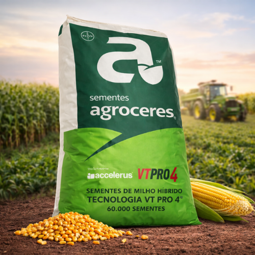 Milho Híbrido Agroceres 8606 VT PRO4 – Versatilidade e Rusticidade 6 Milho Híbrido Agroceres 8606 VT PRO4 – Versatilidade e Rusticidade - Imagem 6