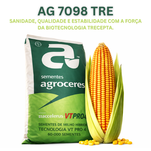 Semente de Milho AG 7098 PRO2 — Agroceres 2 Semente de Milho AG 7098 PRO2 — Agroceres - Imagem 2