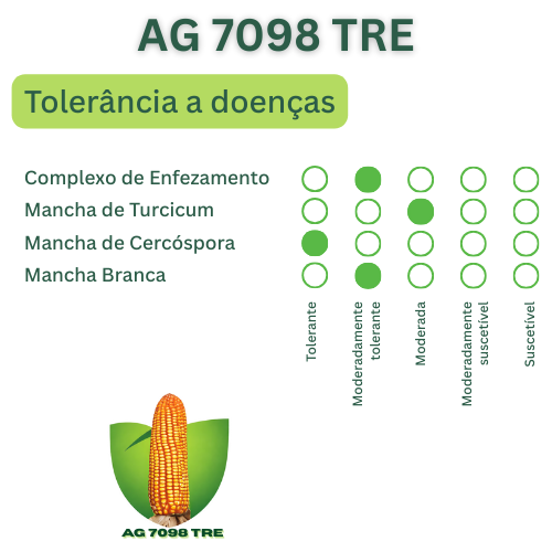 Semente de Milho AG 7098 PRO2 — Agroceres 5 Semente de Milho AG 7098 PRO2 — Agroceres - Imagem 5