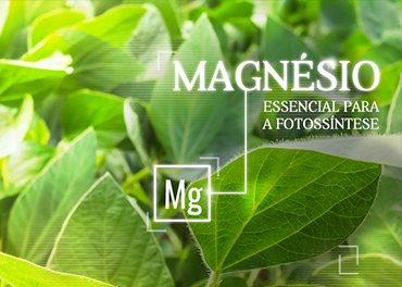 Fertilizante com magnésio.