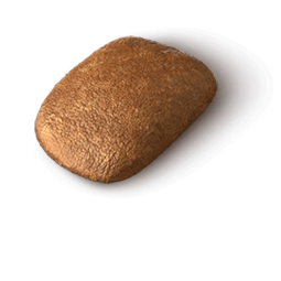 Ração Special Dog Ultralife para Cães Adultos Raças Médias e Grandes Sabor Frango 4 Ração Special Dog Ultralife para Cães Adultos Raças Médias e Grandes Sabor Frango – detalhes | Barracão do Adubo