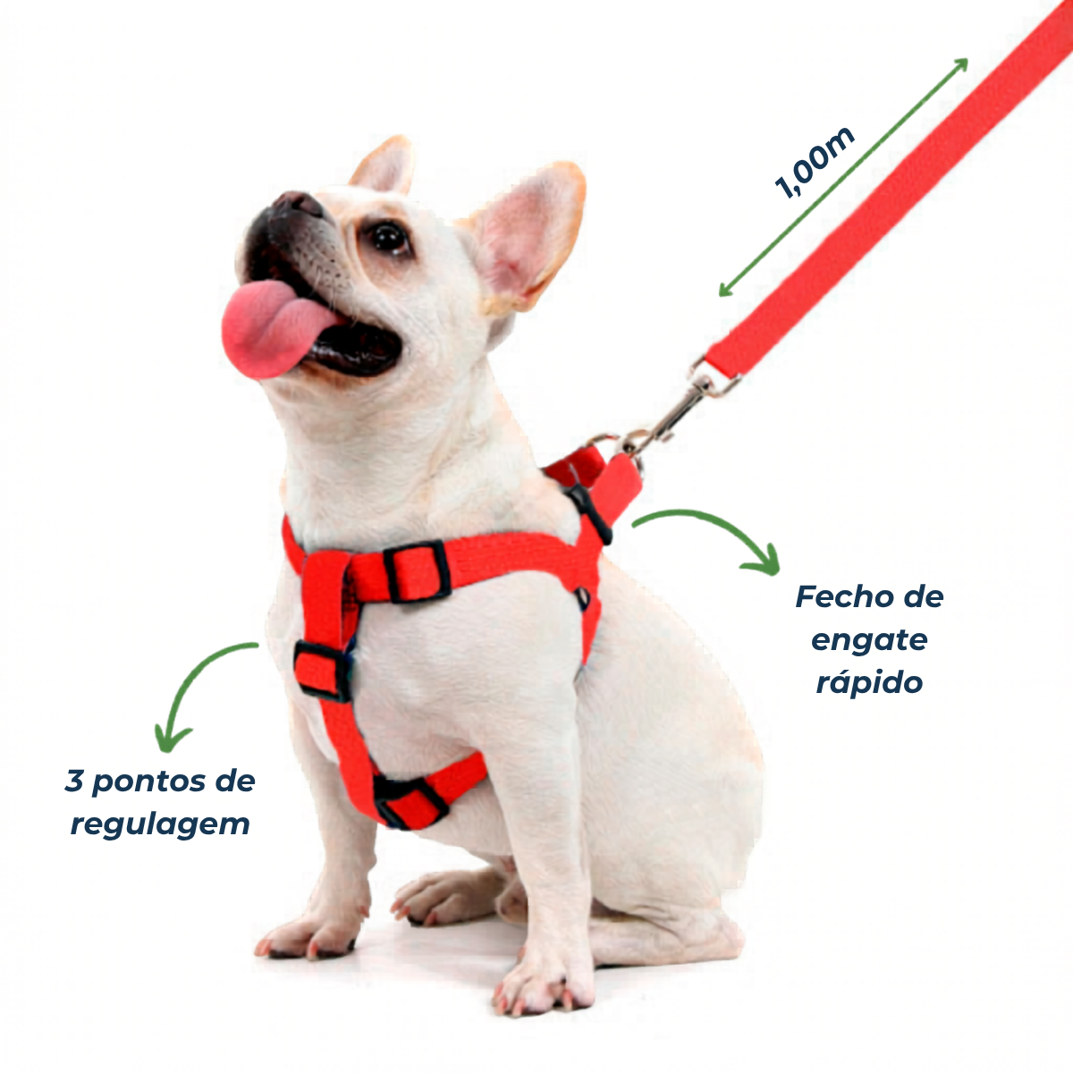 Conjunto Guia com Peitoral Especial Seda TAM M 5 Conjunto Guia com Peitoral Especial Seda TAM M - Imagem 5
